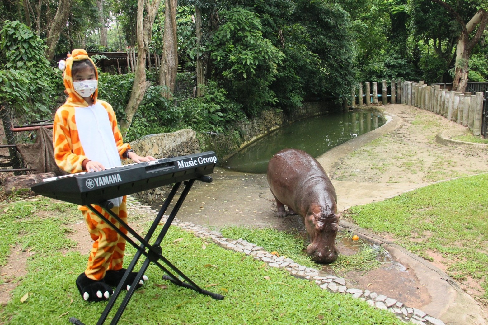Supat chia sẻ, cô bé chơi nhạc để xoa dịu những con vật, giúp chúng cảm thấy thư thái và không quá cô đơn. (Nguồn ảnh: Facebook สวนสัตว์เปิดเขาเขียว Khao Kheow Open Zoo）